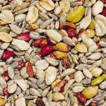Types of Bird Feeder Foods
