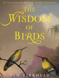 Wisdom of birds